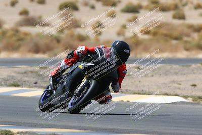 media/Apr-10-2022-SoCal Trackdays (Sun) [[f104b12566]]/Turn 5 Tree of Life (1040am)/